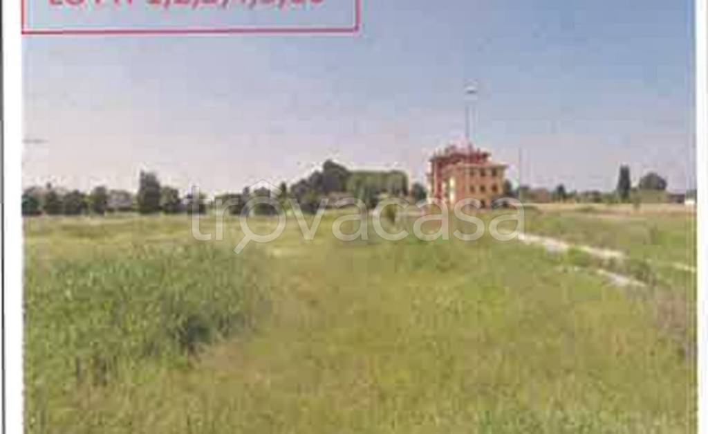 immagine annuncio 10 di 14