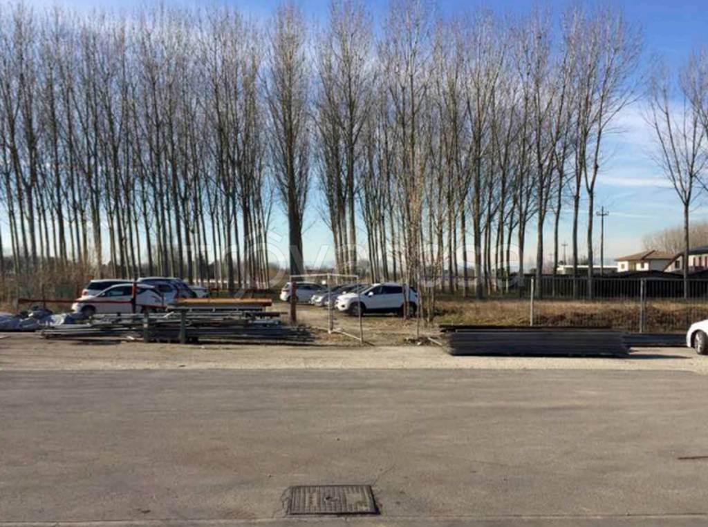 immagine annuncio 3 di 11