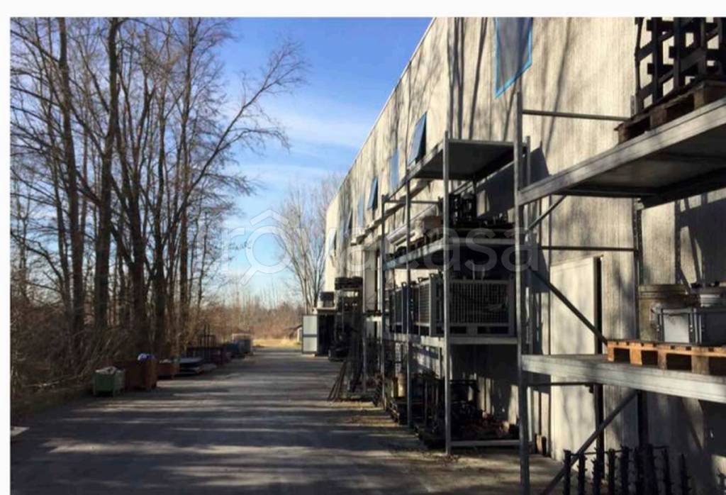 immagine annuncio 7 di 11