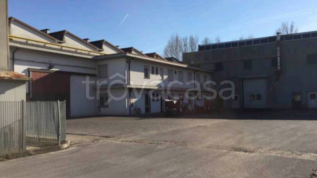 immagine annuncio 8 di 11