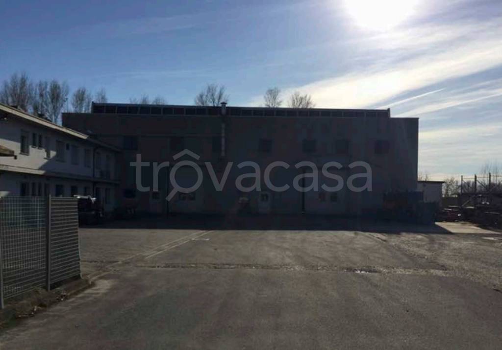 immagine annuncio 9 di 11