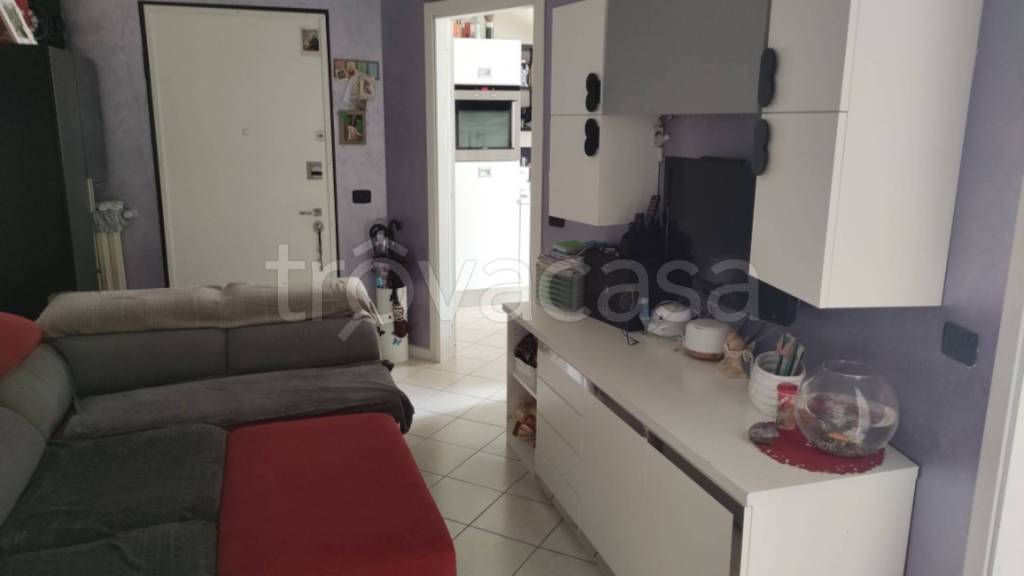 immagine annuncio 4 di 14