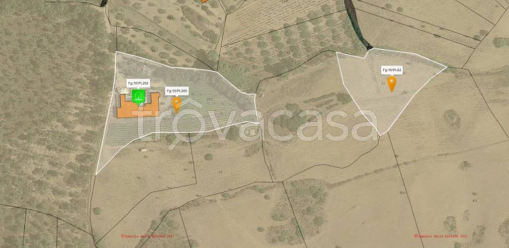 immagine annuncio 4 di 12