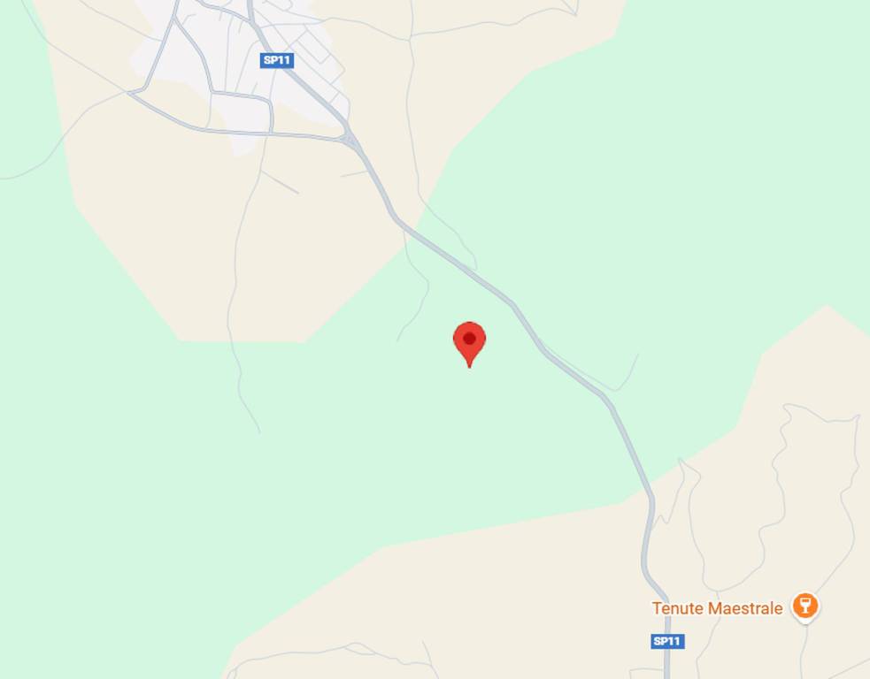 immagine annuncio 6 di 12