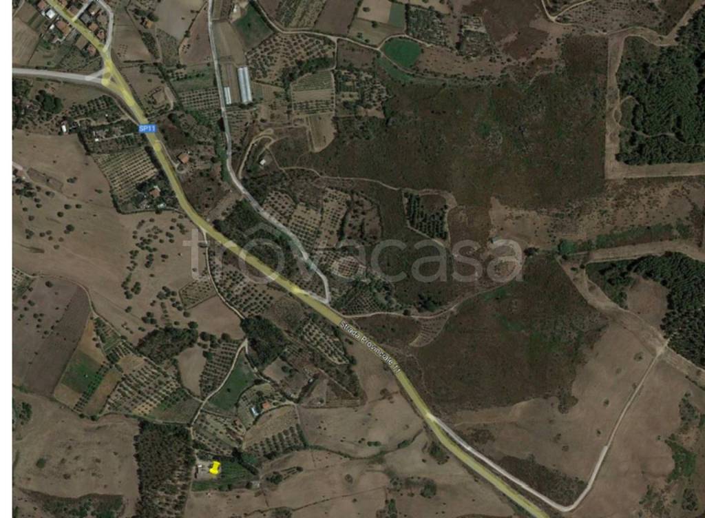 immagine annuncio 8 di 12