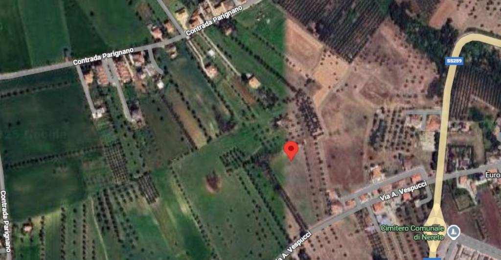 immagine annuncio 3 di 12