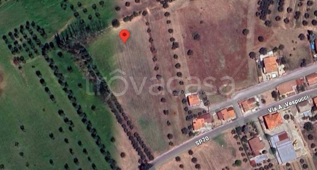 immagine annuncio 4 di 12