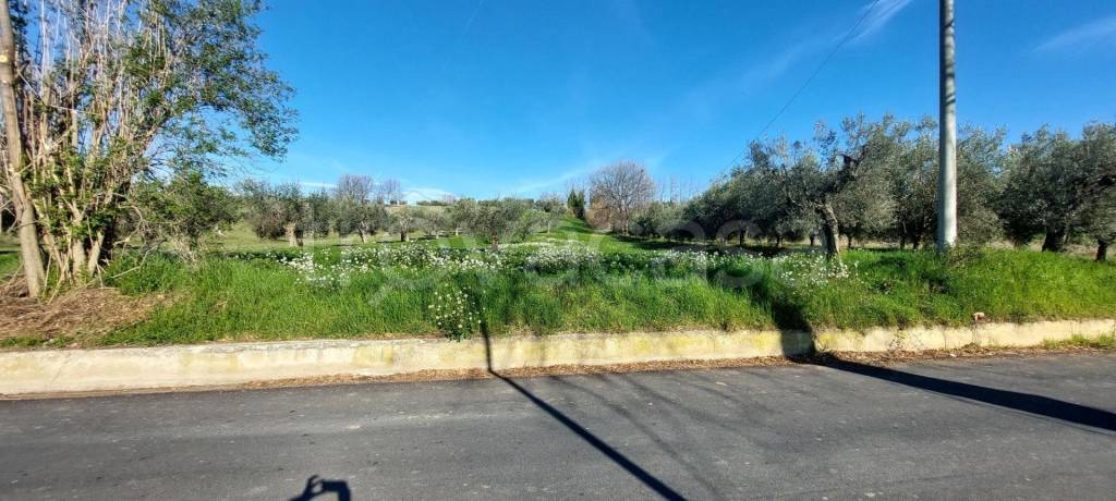 immagine annuncio 8 di 12