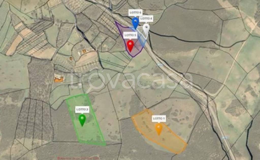 immagine annuncio 2 di 11