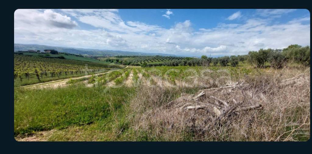 immagine annuncio 3 di 11