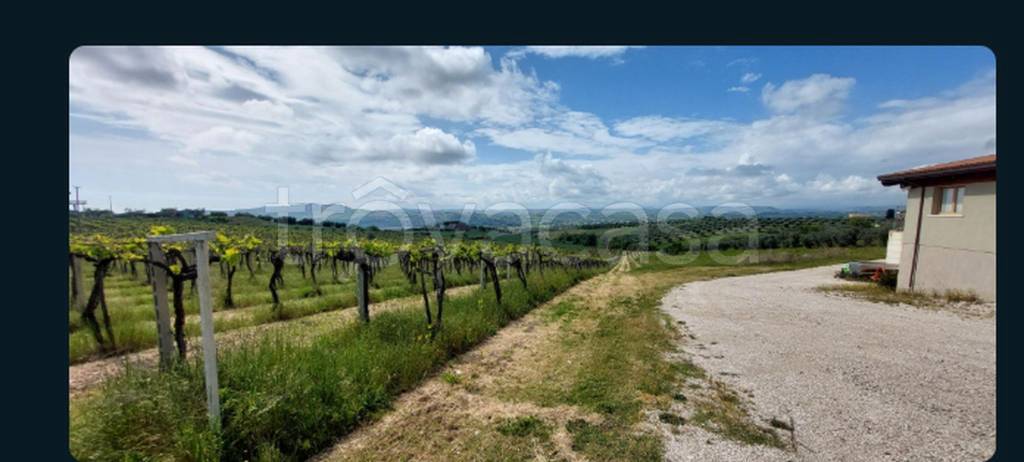 immagine annuncio 6 di 11