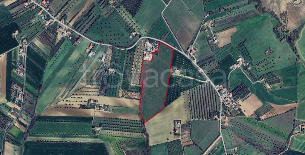 immagine annuncio 7 di 11