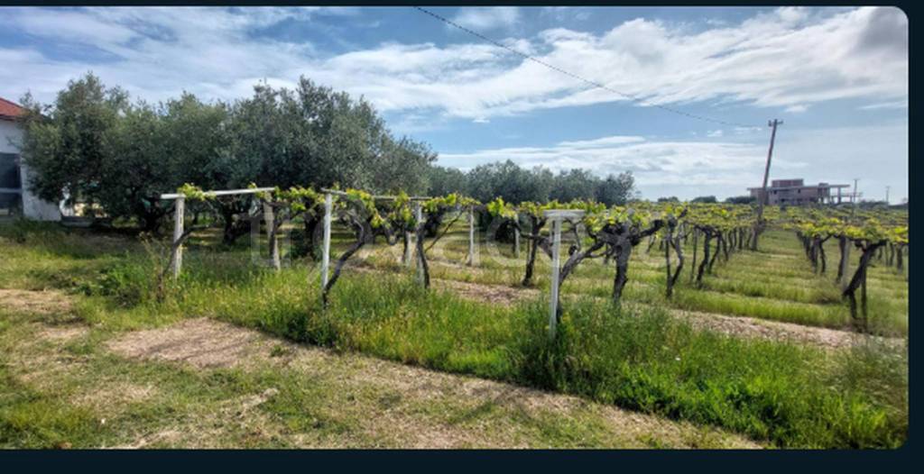 immagine annuncio 8 di 11