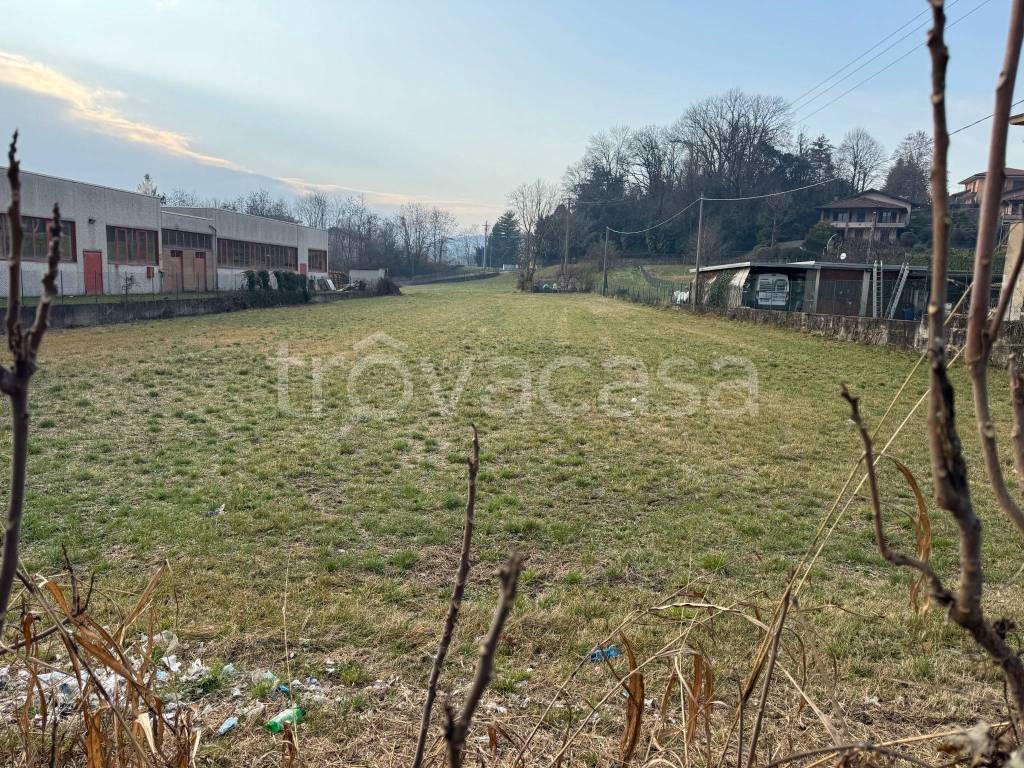 immagine annuncio 2 di 14