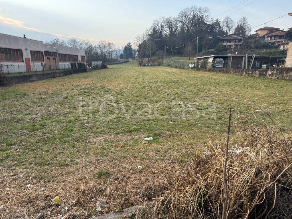 immagine annuncio 4 di 14