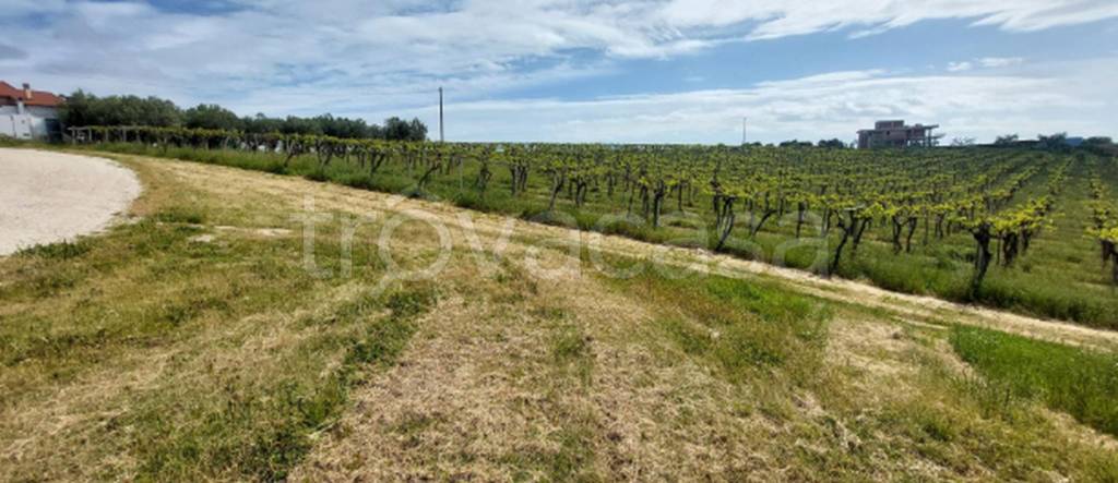 immagine annuncio 10 di 11