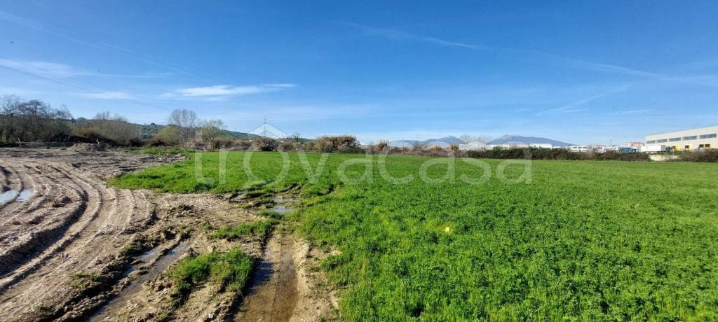 immagine annuncio 8 di 12