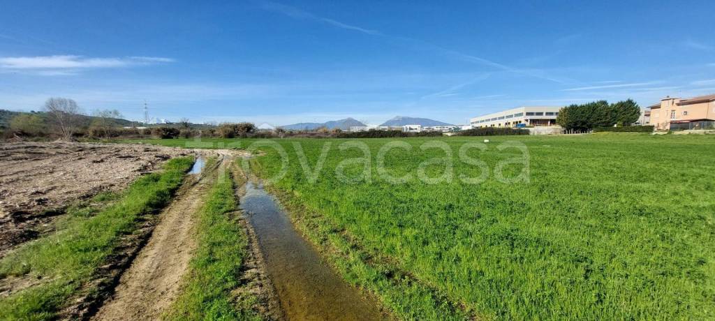 immagine annuncio 9 di 12