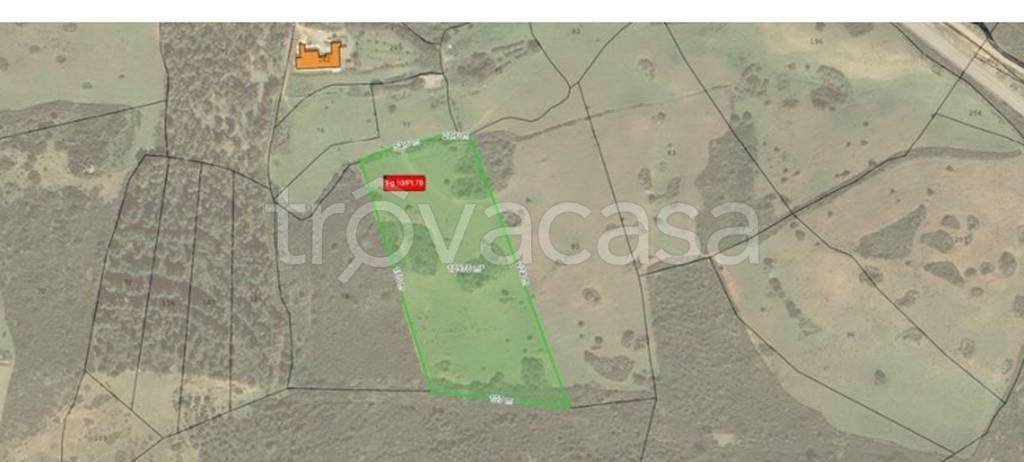 immagine annuncio 5 di 12