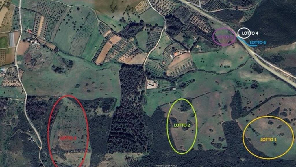 immagine annuncio 7 di 12