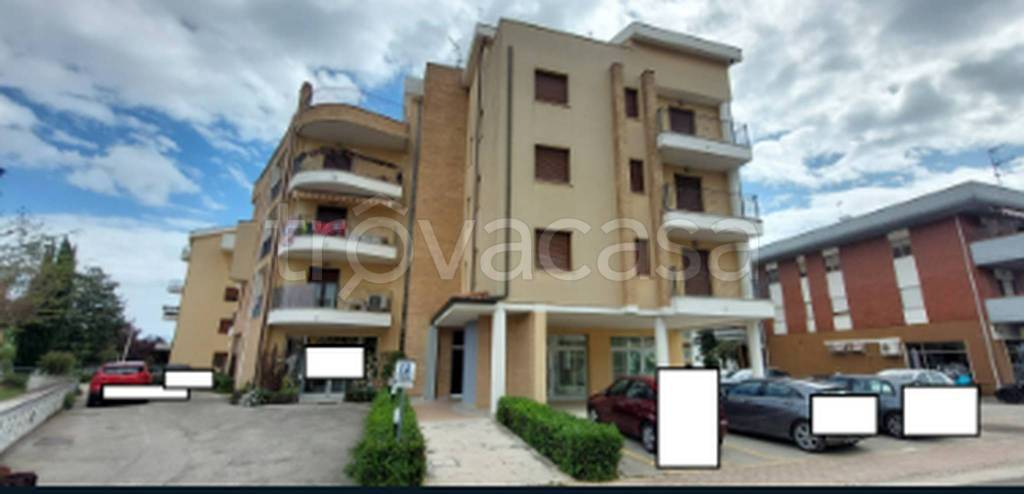 immagine annuncio 7 di 11