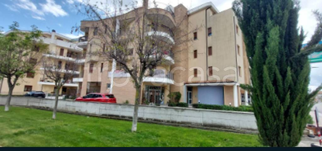 immagine annuncio 8 di 11