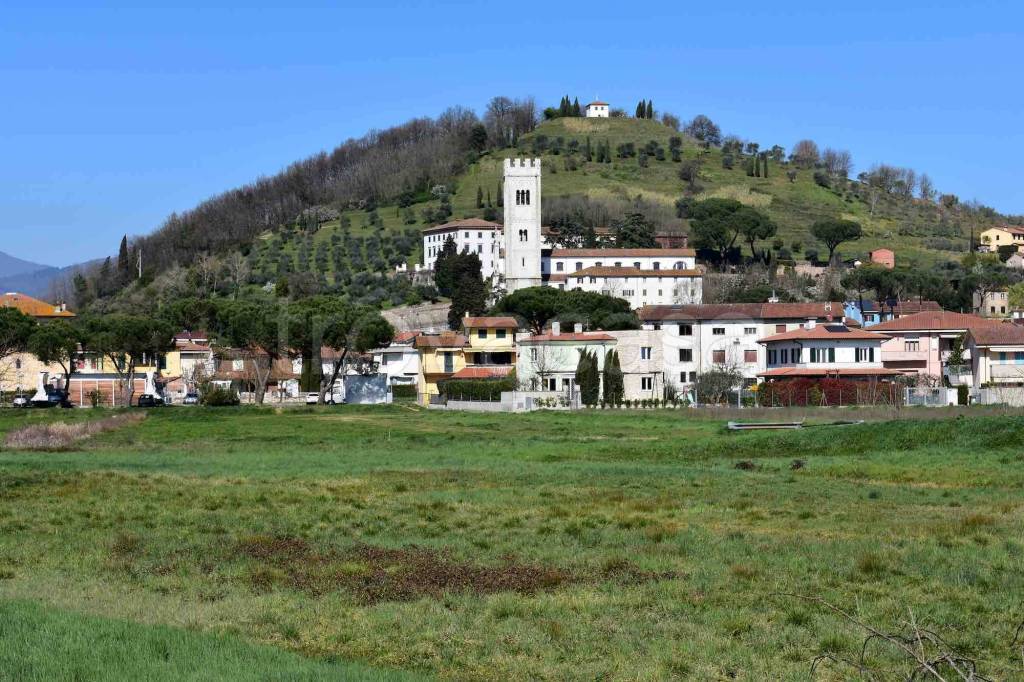 immagine annuncio 9 di 14