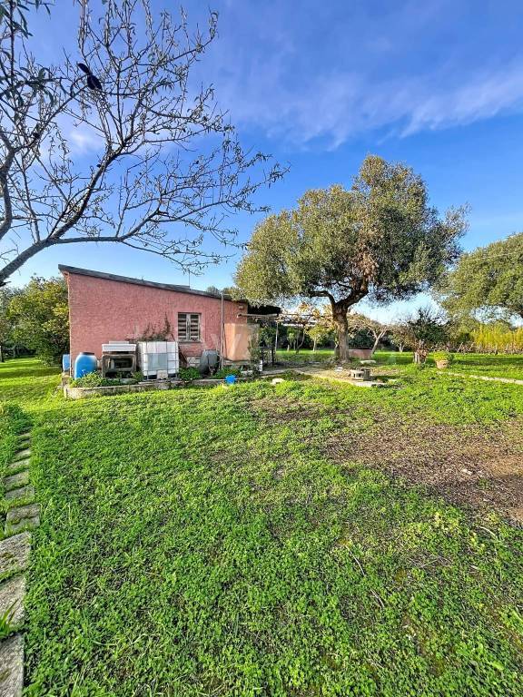 immagine annuncio 7 di 9