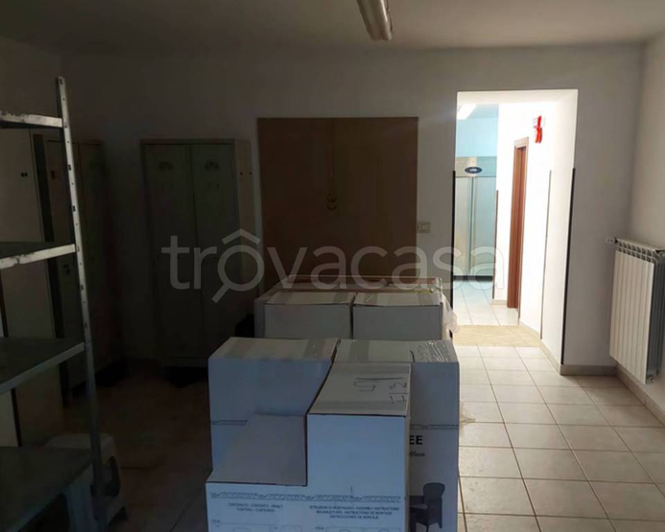 immagine annuncio 6 di 14