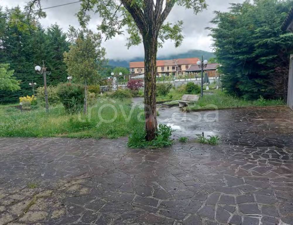 immagine annuncio 7 di 14