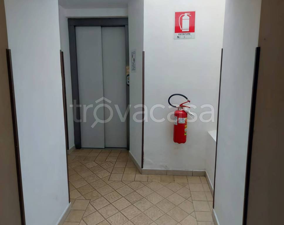 immagine annuncio 10 di 14