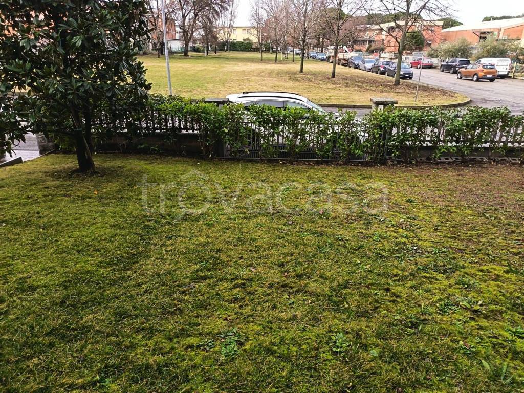 immagine annuncio 2 di 12