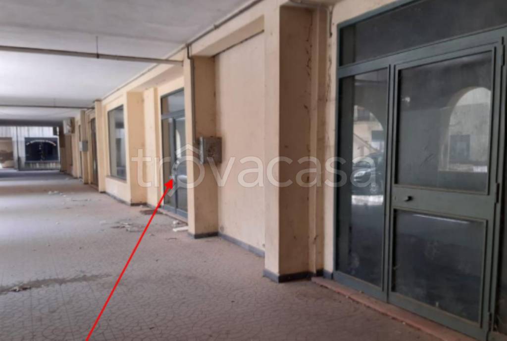 immagine annuncio 8 di 13