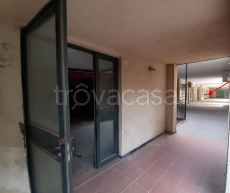 immagine annuncio 10 di 13