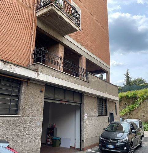 immagine annuncio 2 di 12