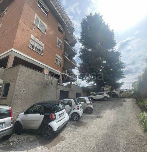 immagine annuncio 10 di 12