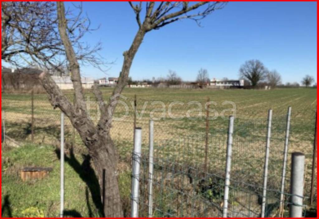 immagine annuncio 5 di 12