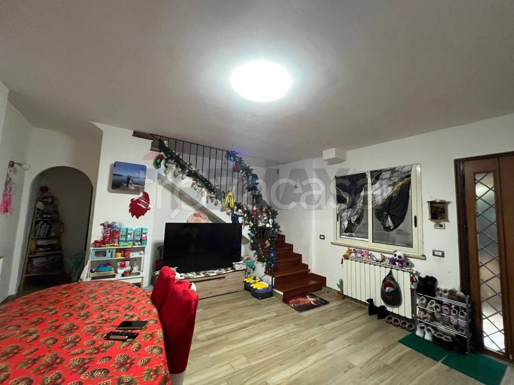 immagine annuncio 1 di 14