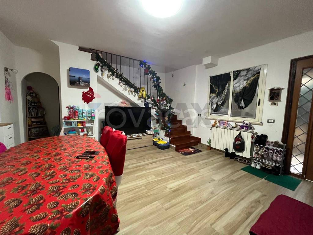 immagine annuncio 2 di 14