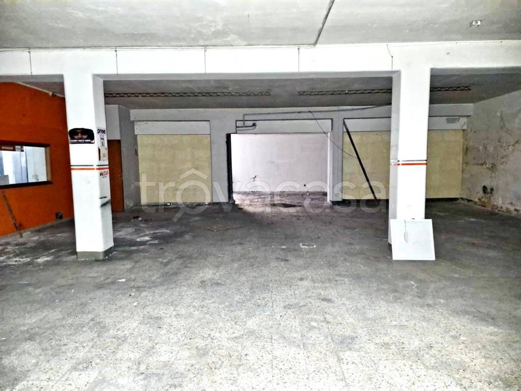 immagine annuncio 2 di 8