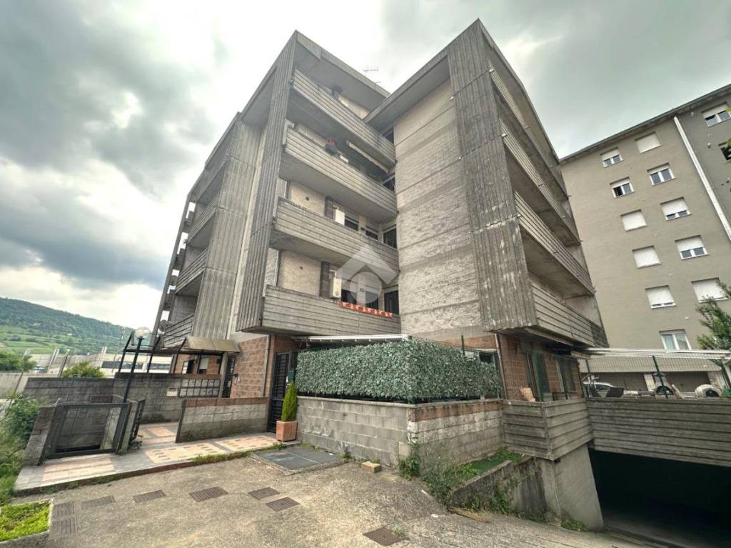 immagine annuncio 13 di 14