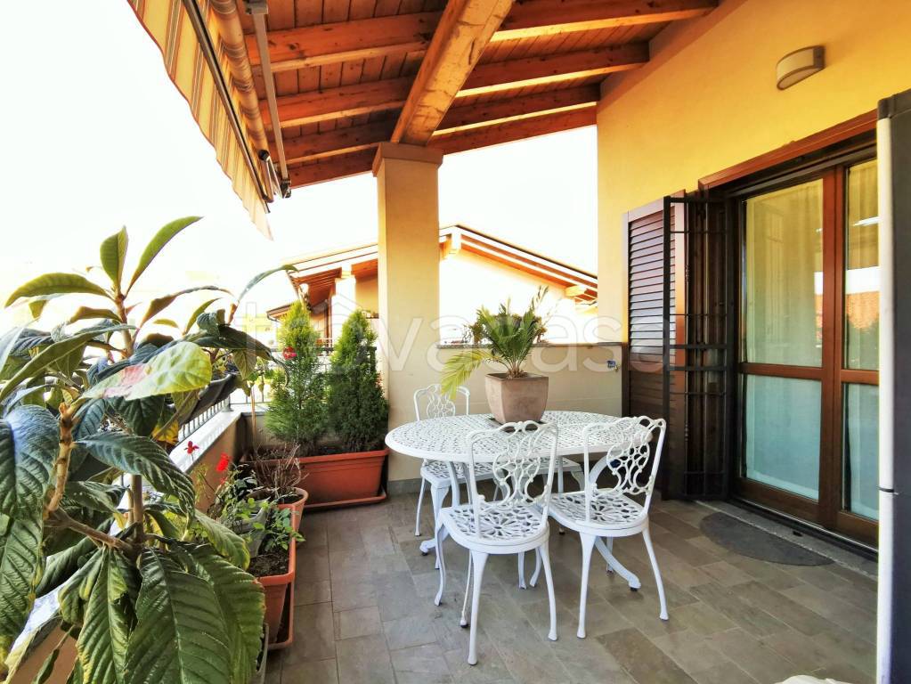 immagine annuncio 11 di 15