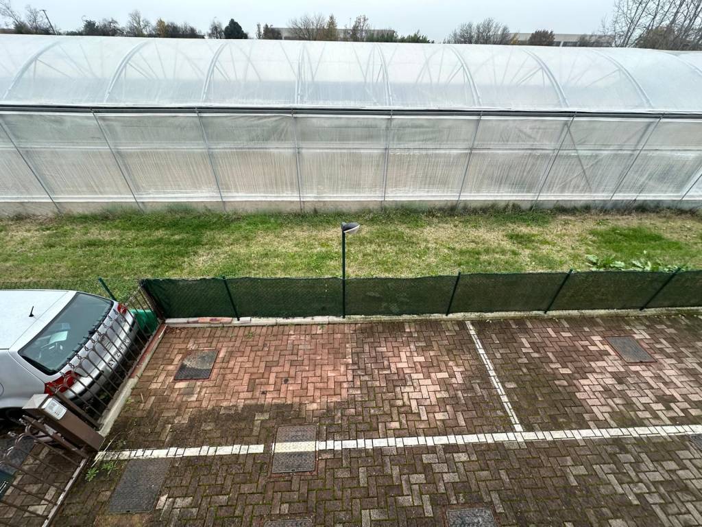 immagine annuncio 12 di 14