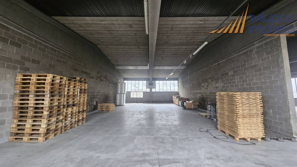 immagine annuncio 6 di 13