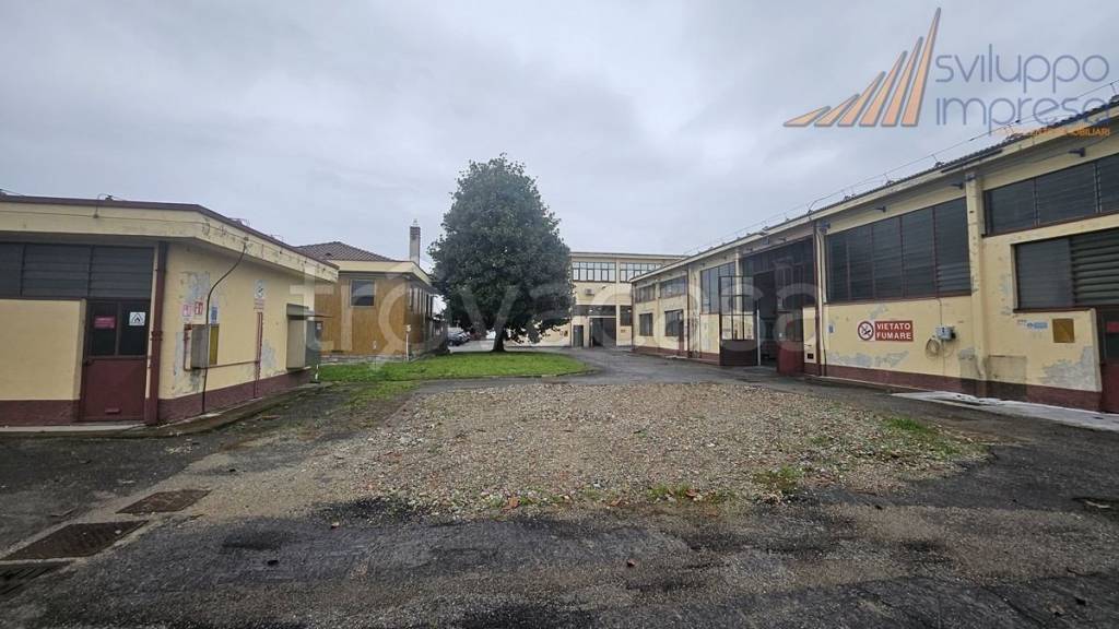 immagine annuncio 4 di 12