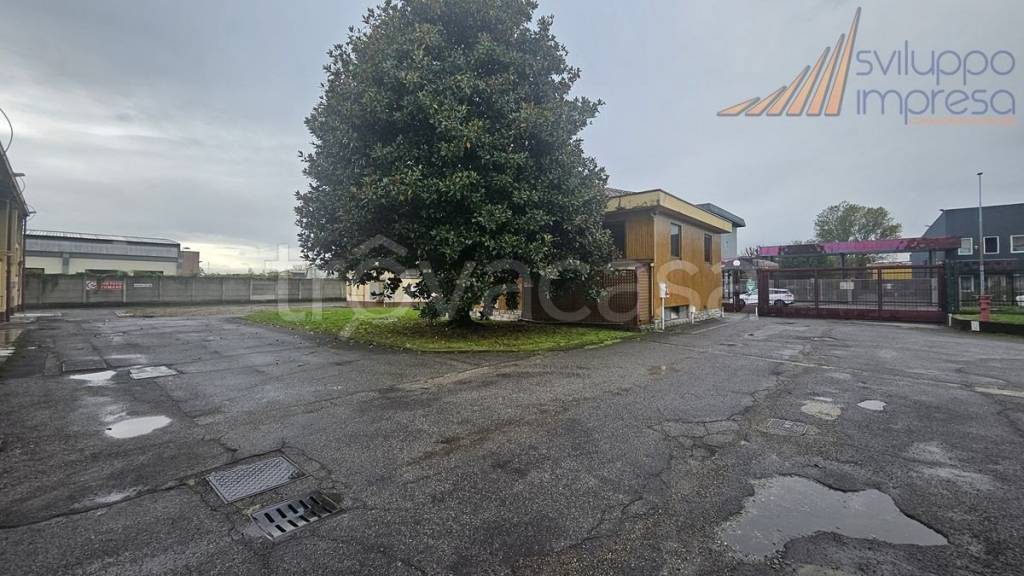 immagine annuncio 7 di 12