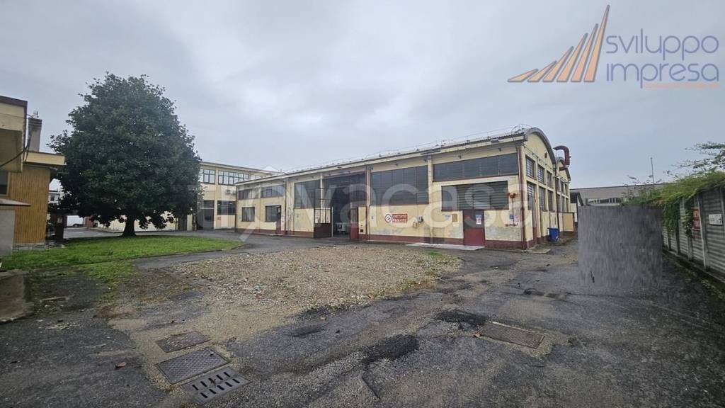 immagine annuncio 9 di 12