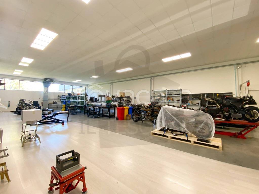 immagine annuncio 4 di 15