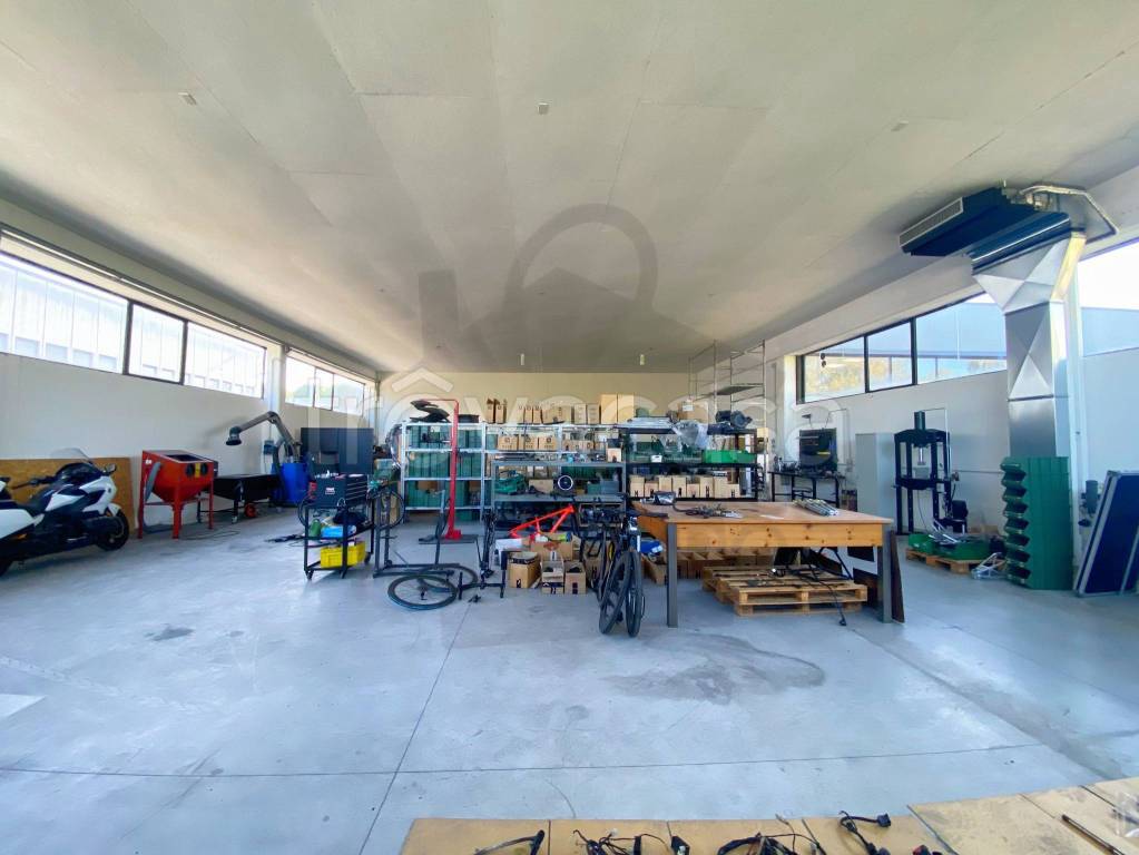 immagine annuncio 9 di 15