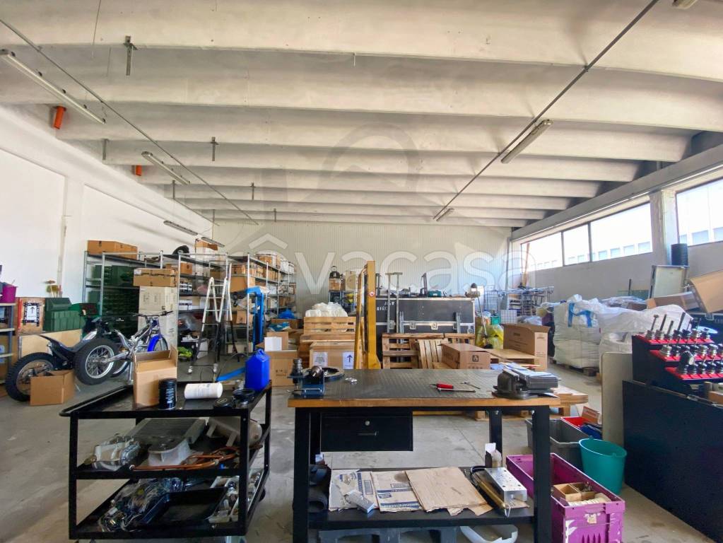 immagine annuncio 11 di 15